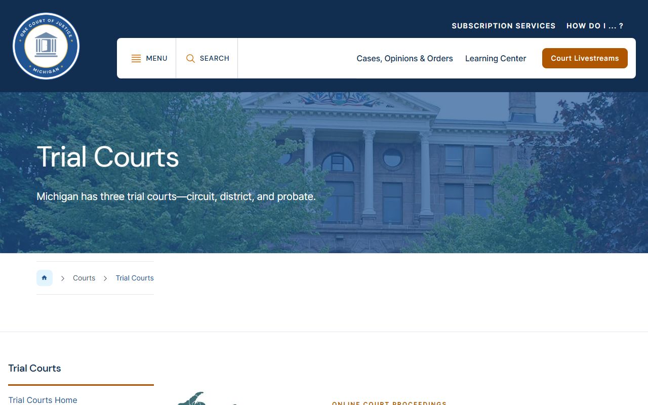 Mason County court records within the Michigan trial-court system overview