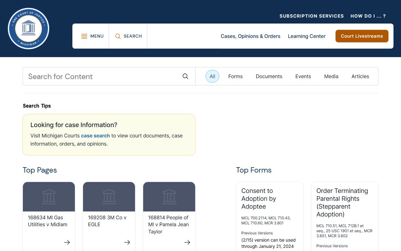 Mason County court records search on the Michigan Courts landing page
