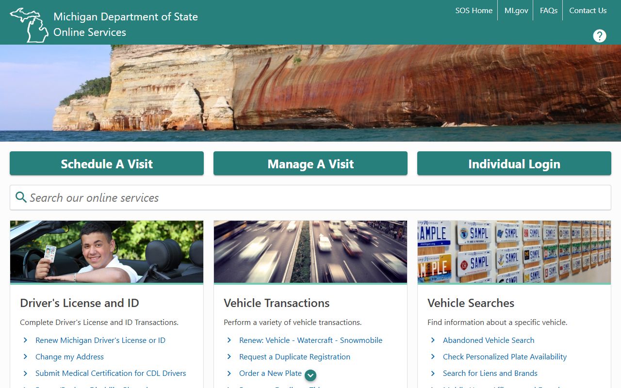 Mason County traffic and commercial driver records on the Michigan e-Services portal